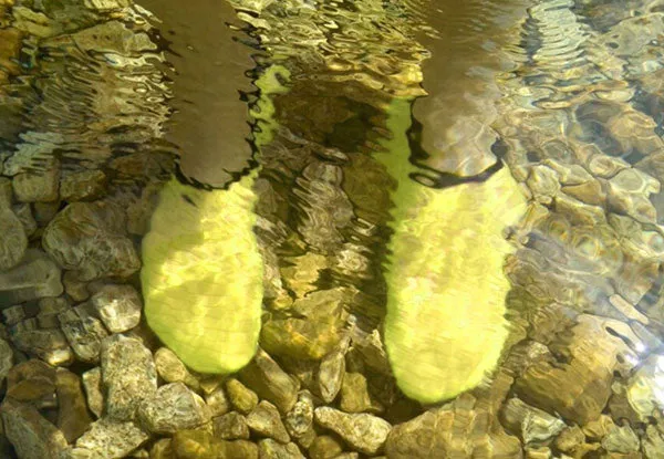 Barefoot Shoe Water Shoes Quick-Dry Anti-Slip Aqua Beach Socks