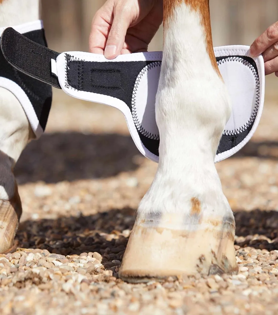 PEI Bi-Polar Magni-Teque Horse Fetlock Boots (set of 2)