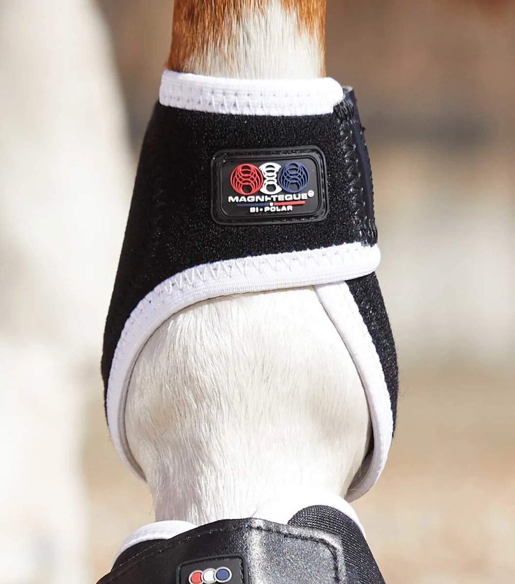 PEI Bi-Polar Magni-Teque Horse Fetlock Boots (set of 2)